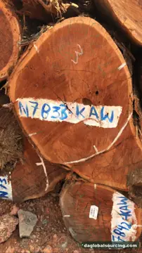 We Need KAW (Kaw Udu) Logs Supplier In Suriname
