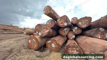 We Need Okan (Denya) Logs Supplier In Central African Republic