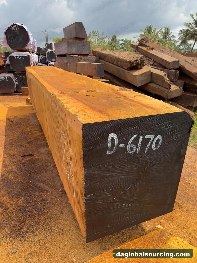 Okan squared from Cameroon — goods a Vietnam buyer wants
