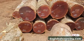 We Need Sapelli (Sapele) Logs Supplier In Cameroon