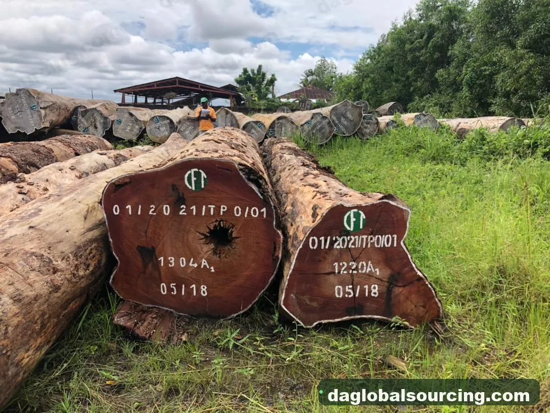 Tali (Ironwood) logs from Central African Republic — goods a Vietnam buyer wants