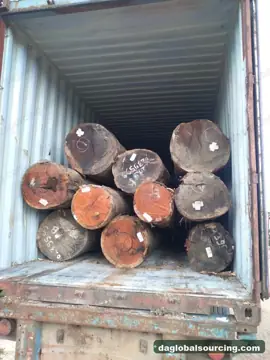 Wpl from Suriname — real goods photo 5