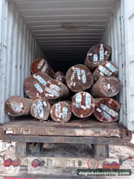 Wpl from Suriname — real goods photo 3